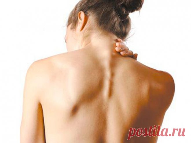 Остеохондроз — расплата за непонимание собственного организма