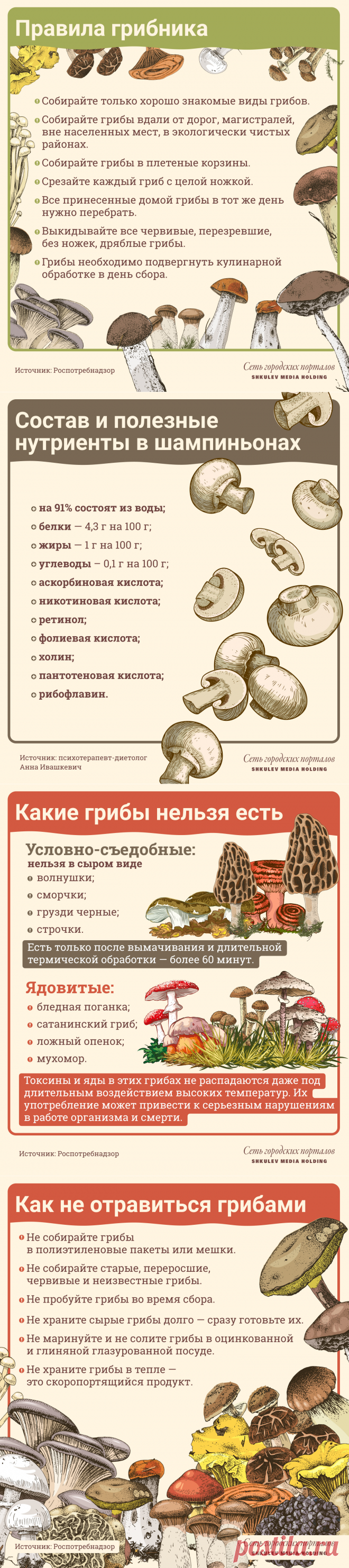Польза и вред грибов для организма человека: какие грибы как правильно готовить для еды - Образ жизни - Новости Санкт-Петербурга - Фонтанка.Ру Гриб — орган, который может чувствовать, видеть, слышать, ощущать вкус, выделять энзимы и гормоны, то есть участвовать в процессах в организме.
Грибы обладают способностью к движению.
Они способны передвигаться в почве, воде.