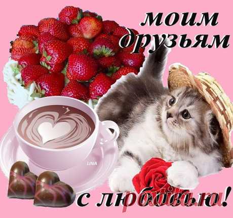 ahanta.ru/index.php?newsid=1155