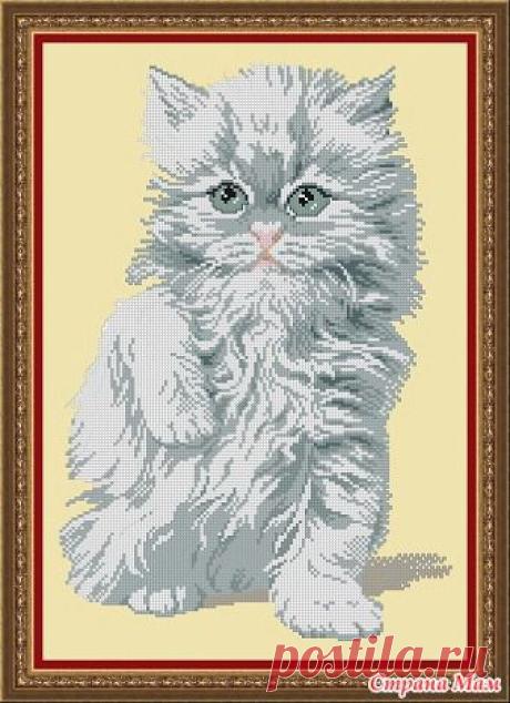 Персидский котенок - Схемы для вышивки - Страна Мам