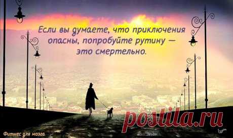 Одной фразой – Фитнес для мозга