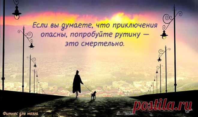Одной фразой – Фитнес для мозга