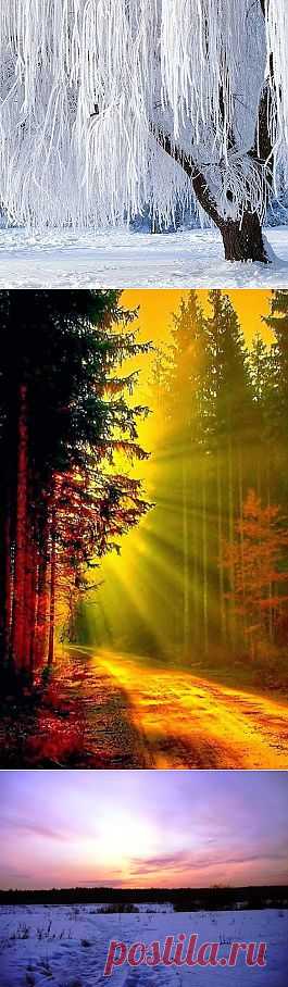 Лучшие фото – Пейзажи/Флора – Community – Google+