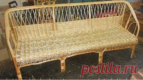 Плетение мебели из ивы своими руками, подготовка сырья для работы