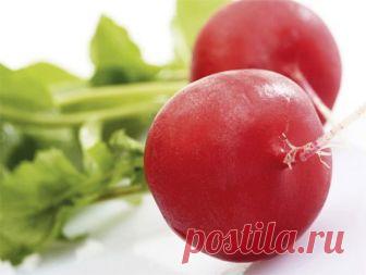 Ай да редиска! Тонкости выращивания Вырастить крупные, вкусные и сочные корнеплоды редиса несложно – нужно только знать несколько тонкостей. Секретами делится...