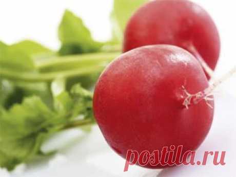 Ай да редиска! Тонкости выращивания Вырастить крупные, вкусные и&nbsp;сочные корнеплоды редиса несложно&nbsp;&ndash; нужно только знать несколько тонкостей. Секретами делится...