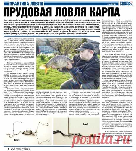 Прудовая ловля карпа
