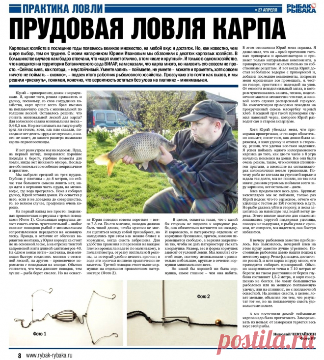 Прудовая ловля карпа