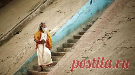 Ступени мудрости. Притча