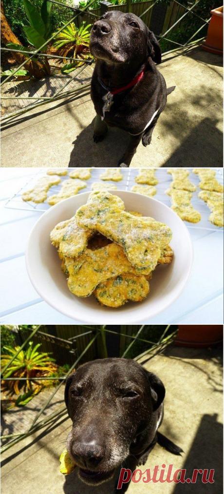 Полезное угощение для четвероногого друга | Вкуснолог...