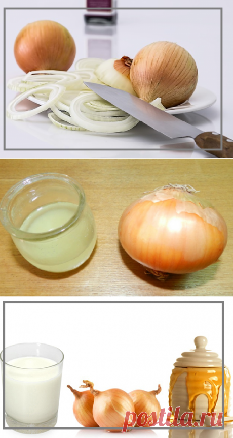 Лук-лекарь: 3 проверенных рецепта для лечения простуды и поднятия иммунитета | моя записная книжка | Яндекс Дзен