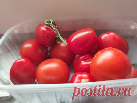 урожай томатов секреты огородников
