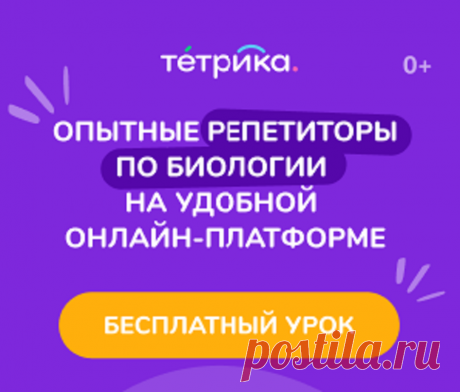 👩‍🏫 Онлайн-занятия с репетиторами по биологии
3 700+ опытных преподавателей
41 000 детей занимаются с нами сейчас
9 600+ учеников сдали ЕГЭ на 80+ баллов
📆 Удобное время и день для занятий
Занимайтесь в комфортной обстановке и не тратьте время на дорогу
👩‍🏫 Широкий выбор специалистов
Выбирайте преподавателя самостоятельно и учитесь у профессионалов
📚 Индивидуальные программы обучения
Учебные материалы всегда под рукой, не тратьте деньги на учебники и пособия
