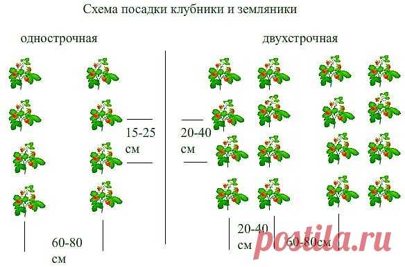 (14) Одноклассники