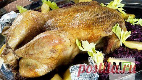 Гусь, тушенный с капустой - кулинарный рецепт. Миллион Меню