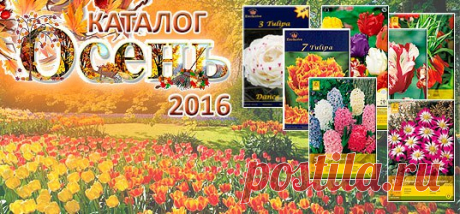 Интернет магазин семена почтой №1 в России