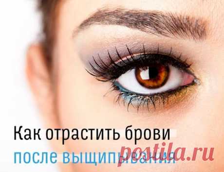 КАК ОТРАСТИТЬ БРОВИ