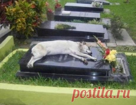 15 грустных , которые заставят вас плакать |