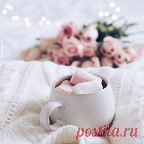 ▫️
........................................................
▫️Photo by: @thelittleran
▫️#stillm_thelittleran
.........................................................
▫️ To be featured please follow:
⠀✧ @still_life_mood
▫️ Valid Taig: #still_life_mood
▫️A repost or a Ig story are welcomed!!!
.........................................................
#transfer_visions #tv_living #pocket_creative #country_stilllife #rsa_social #stilllifephotography #art #beautiful #still_life...