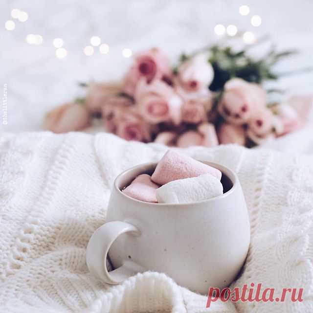 ▫️
........................................................
▫️Photo by: @thelittleran
▫️#stillm_thelittleran
.........................................................
▫️ To be featured please follow:
⠀✧ @still_life_mood
▫️ Valid Taig: #still_life_mood
▫️A repost or a Ig story are welcomed!!!
.........................................................
#transfer_visions #tv_living #pocket_creative #country_stilllife #rsa_social #stilllifephotography #art #beautiful #still_life...