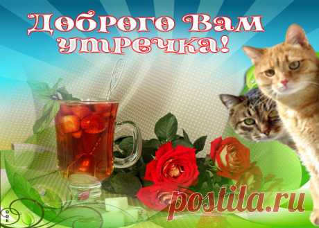 Друзья, с добрым утром вас