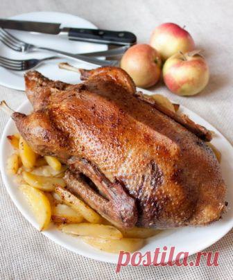 Утка с яблоками на Вкусном Блоге Наконец-то я окончательно “подружилась” с уткой как объектом кулинарного… кхм… искусства! И самое интересное, что и утка-то была далеко не самая образцовая – так, не сильно хорошо общипанный магазинный образец. Птица по этому рецепту получилась очень сочной и аппетитной. А картофель с яблоками на гарнир – это вообще праздник 🙂…