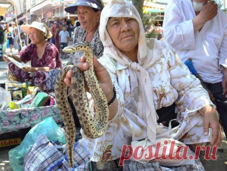 Душа моя, Узбекистан!
Альбина Ишмухамедова (Годовикова