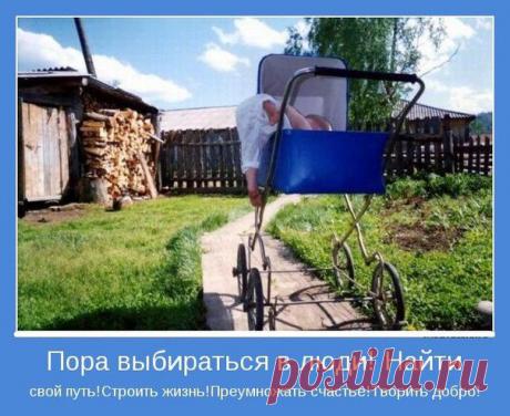 «Кто желает стать успешным – ищет возможности, кто не желает – ищет отговорки». Мудрость.