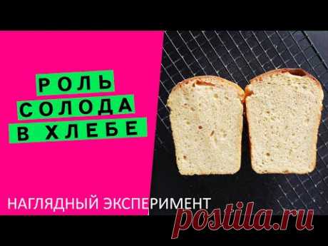 Роль солода в хлебе: НАГЛЯДНЫЙ ЭКСПЕРИМЕНТ! ⚗🧪