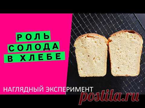 Роль солода в хлебе: НАГЛЯДНЫЙ ЭКСПЕРИМЕНТ! ⚗🧪