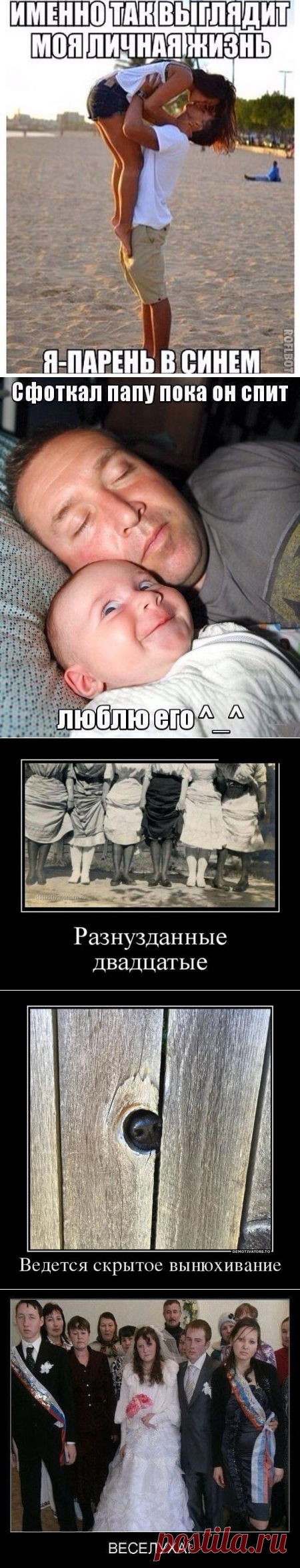 Подборка демотиваторов и просто смешных картинок