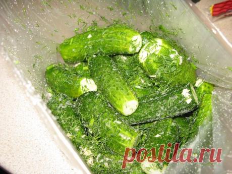Быстрые огурчики - Простые рецепты Овкусе.ру