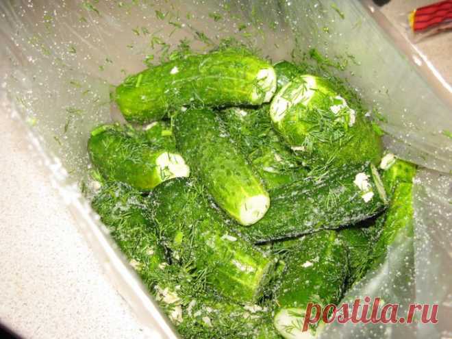 Быстрые огурчики - Простые рецепты Овкусе.ру