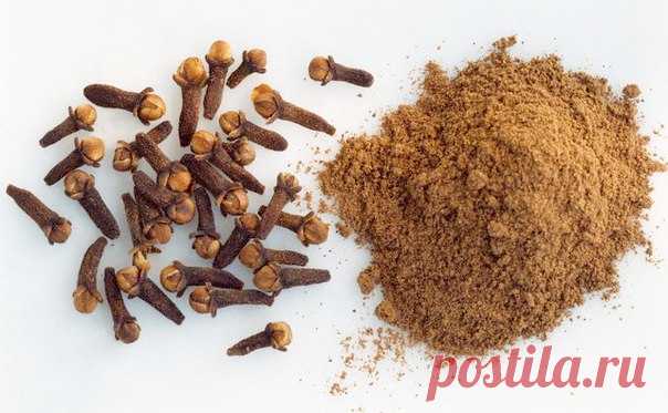 Гвоздика поможет вылечить гипертонию