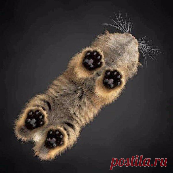 Мой Мир@Mail.Ru