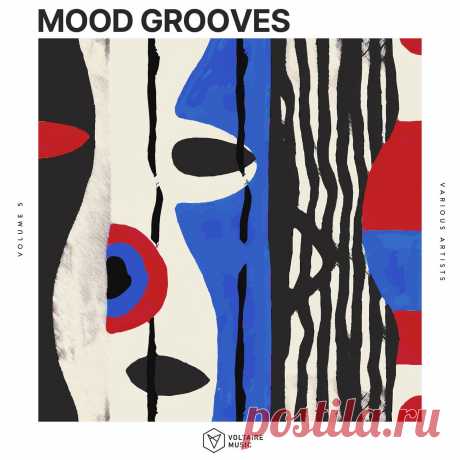 VA - Mood Grooves, Vol. 5 VOLTCOMP1662 » MinimalFreaks.co