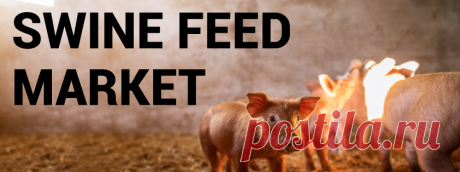 Swine Feed Market Size, Share, Growth | Forecast [2020-2027]