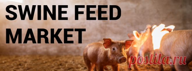 Swine Feed Market Size, Share, Growth | Forecast [2020-2027]