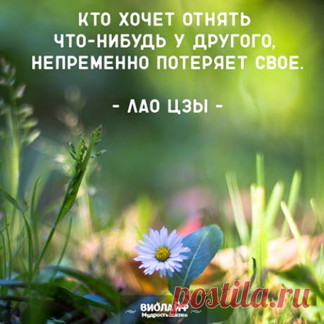 d8837efbba3b13f746ac8ab4be505618.png (480×480)