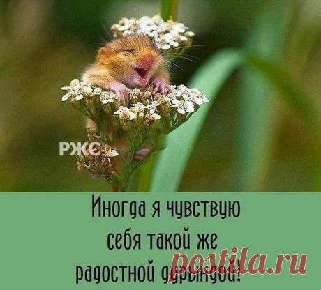 (2) Ольга Попова