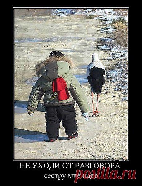 Деток приносит аист