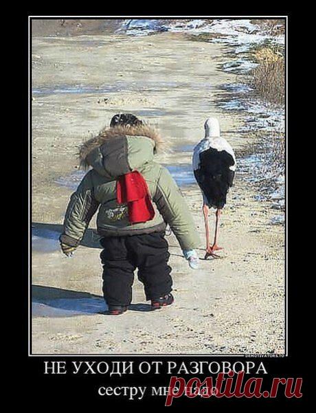 Деток приносит аист