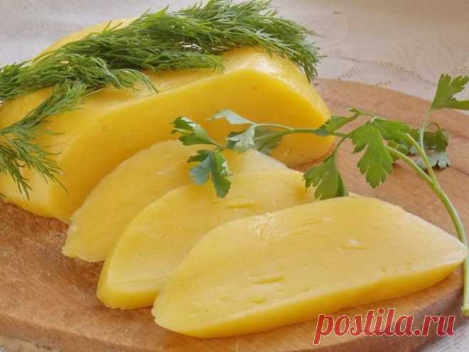 Как приготовить вкусный сыр в домашних условиях 🚩 Кулинарные рецептыы