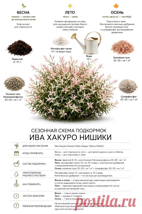 Ива Хакуро Нишики