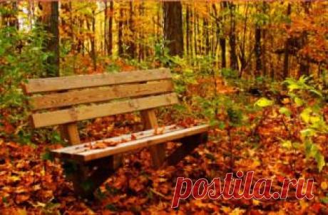 Мой Мир@Mail.Ru
