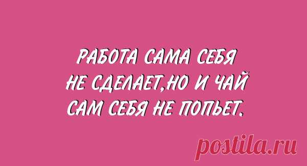 Самая радужная жизнь — у хамелеонов.