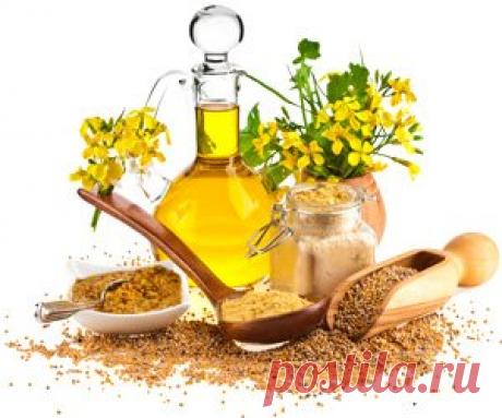 Горчица - Полезные и опасные свойства горчицы Всё про горчицу, ее химический состав, пищевая ценность, наличие витаминов и минералов