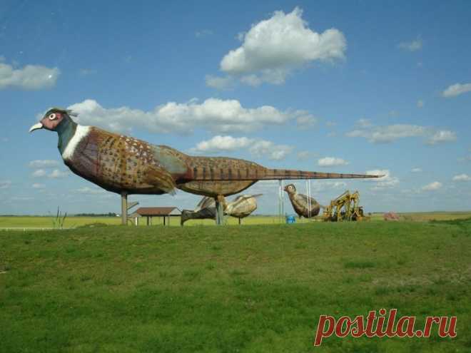 Очарованное шоссе в Северной Дакоте (14 фото) » Приколы на VMir.su - С нами не соскучишься!