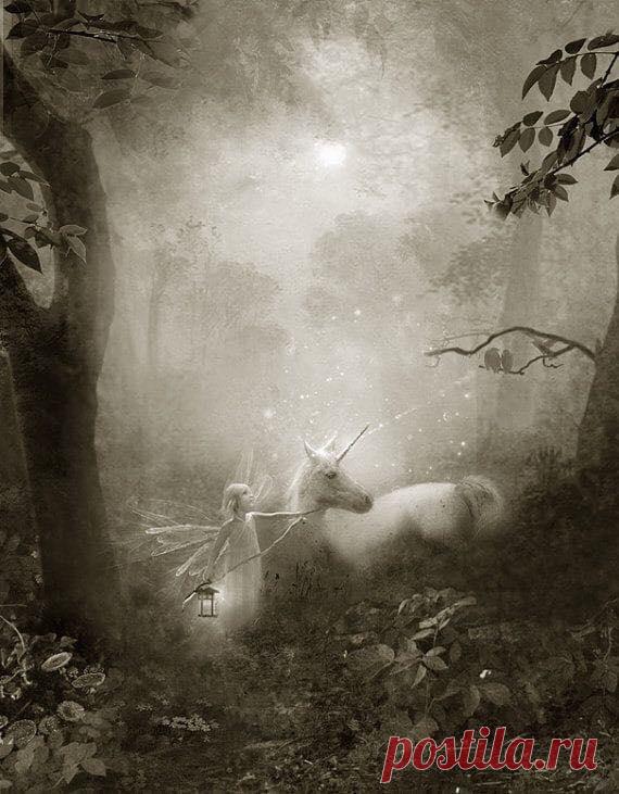 The Fairy Village - Фото | Facebook