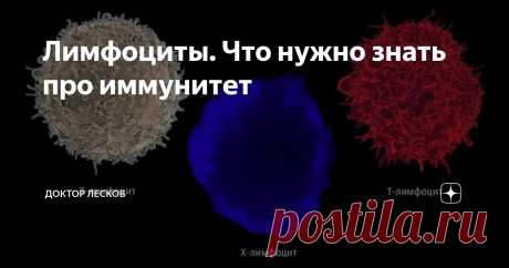 Лимфоциты. Что нужно знать про иммунитет Статья автора «Доктор Лесков» в Дзене ✍: Вот только что пациентка прислала результаты анализа крови сына с просьбой разобраться – ребенку третий раз за три месяца врач назначает антибиотики, мотивируя